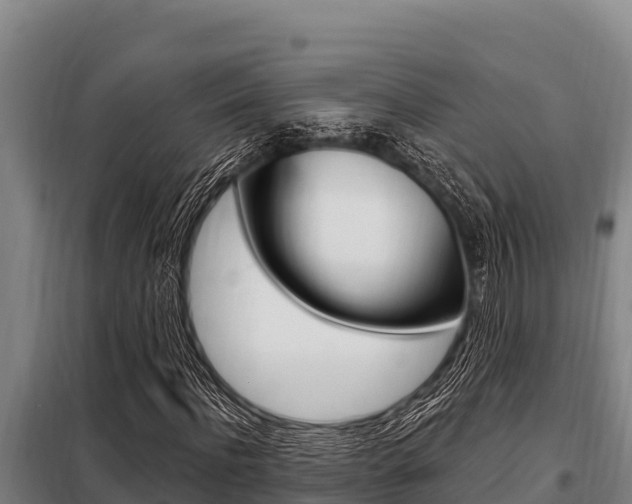 X0000098080916200804040747