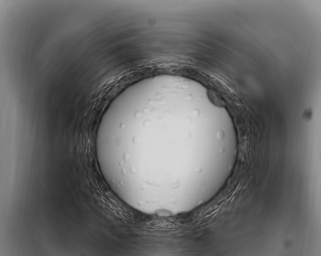 X0000098080917200804040747