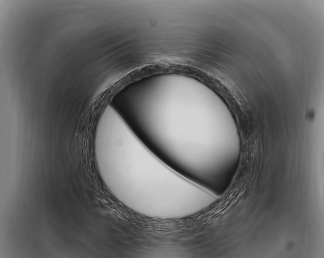 X0000098080919200804040747