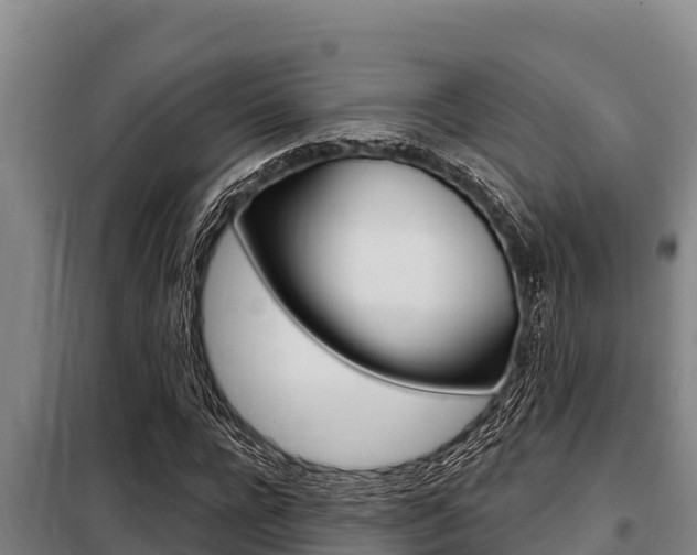 X0000098080920200804040748