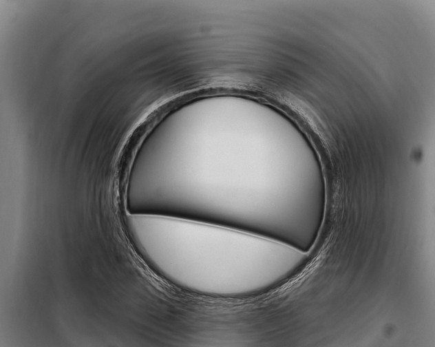 X0000098080923200804040748