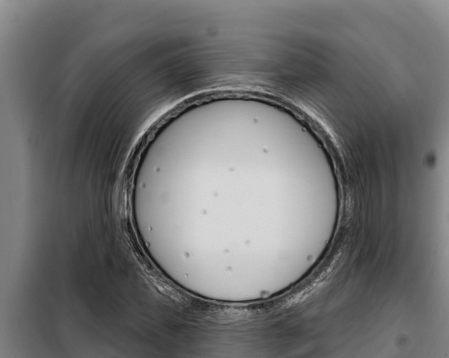 X0000098080925200804040748
