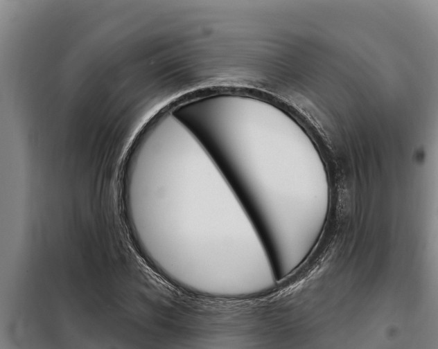 X0000098080926200804040748