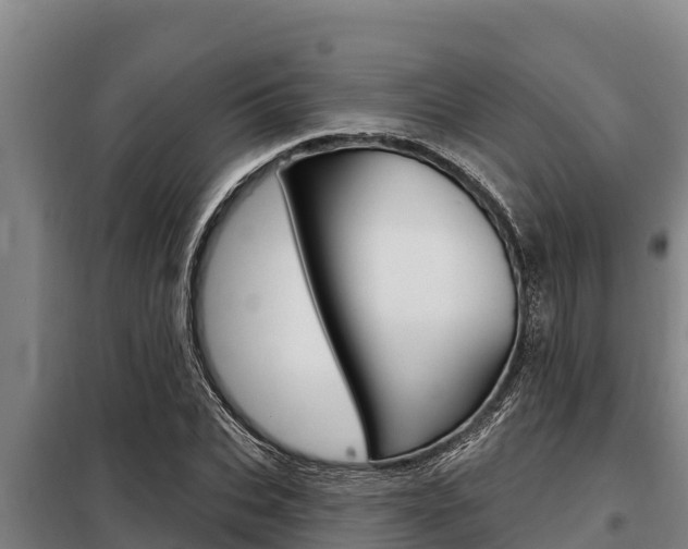 X0000098080927200804040748