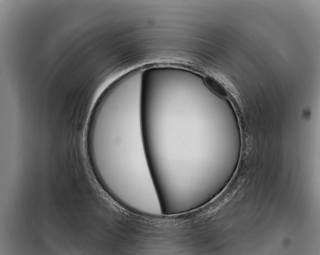 X0000098080928200804040748