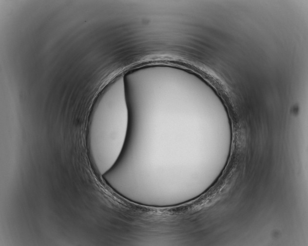 X0000098080929200804040748