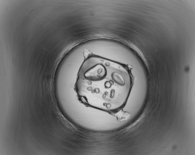 X0000098080930200804040748