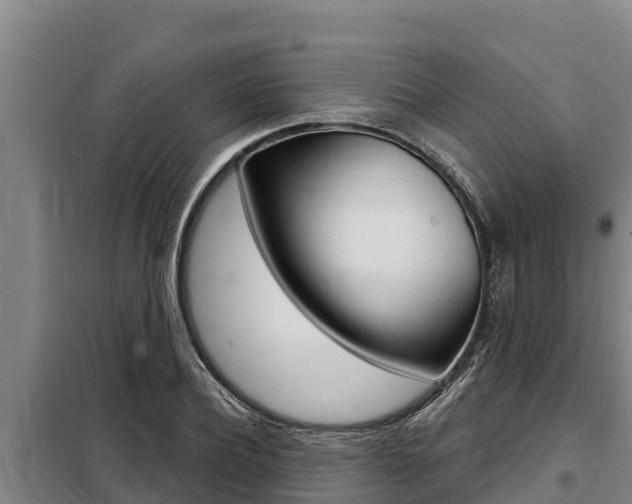 X0000098080932200804040748