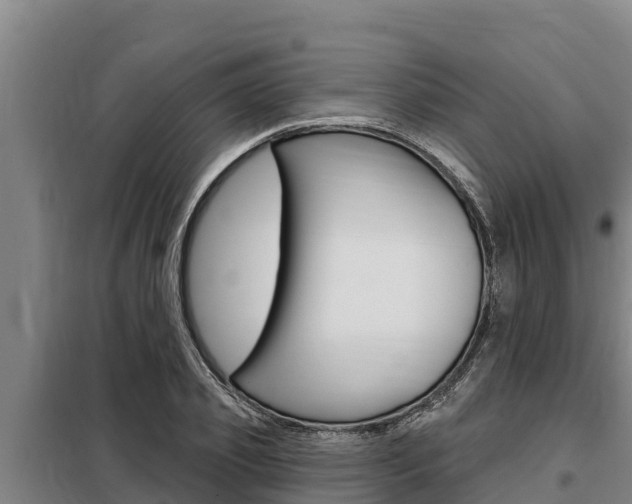 X0000098080933200804040748