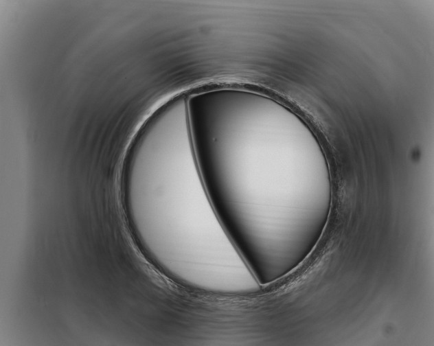 X0000098080934200804040748