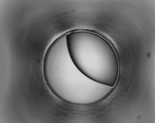X0000098080935200804040748