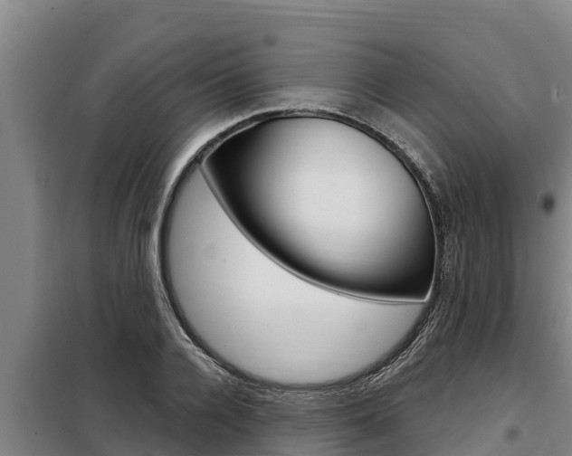 X0000098080936200804040748