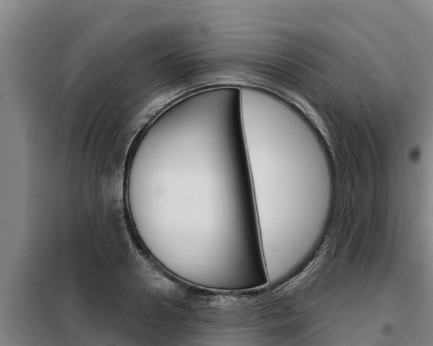 X0000098080938200804040748
