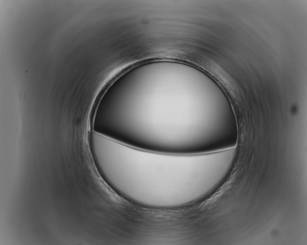 X0000098080940200804040748