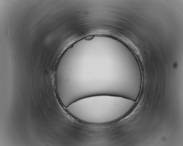 X0000098080945200804040748