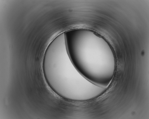 X0000098080946200804040748