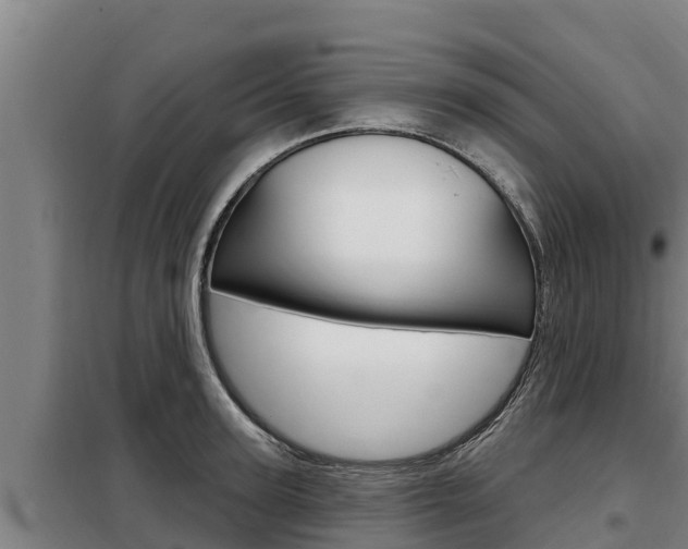 X0000098080947200804040748