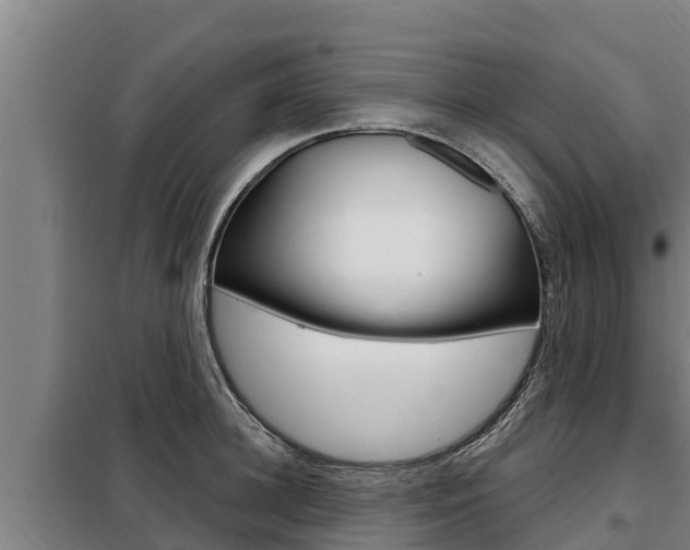 X0000098080948200804040748