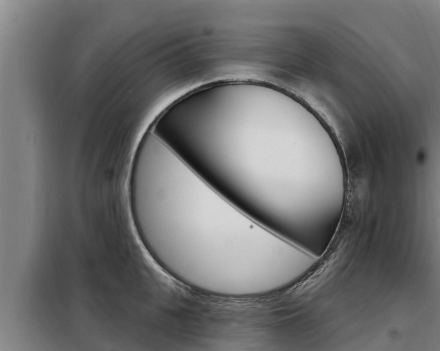 X0000098080951200804040748