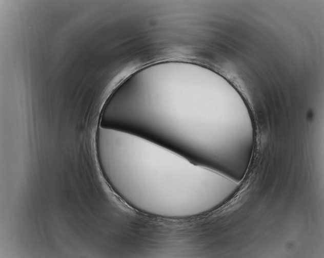 X0000098080954200804040748