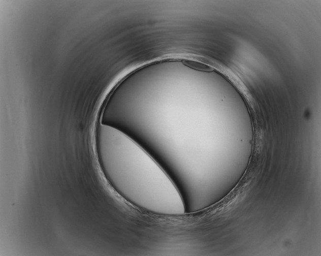 X0000098080955200804040748