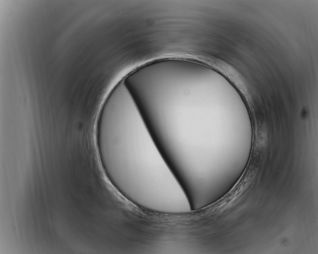 X0000098080958200804040748