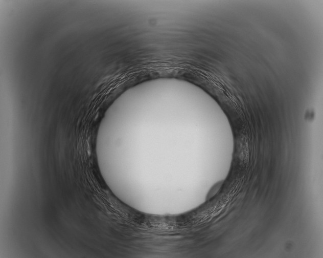 X0000098080962200804040747