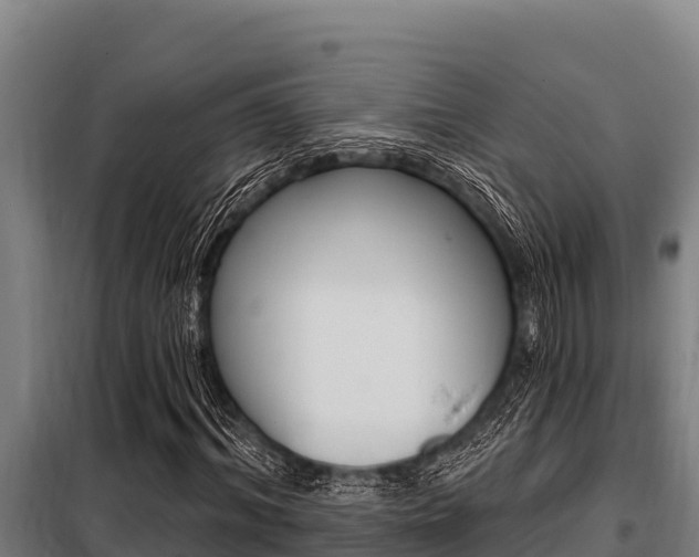 X0000098080964200804040747