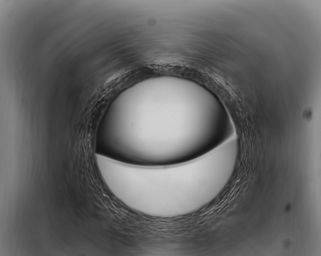 X0000098080965200804040747