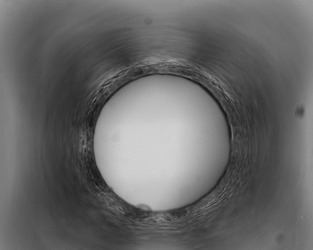 X0000098080966200804040747
