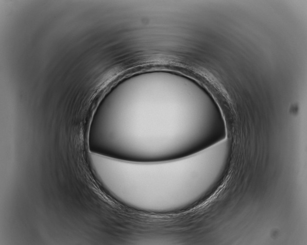 X0000098080969200804040747
