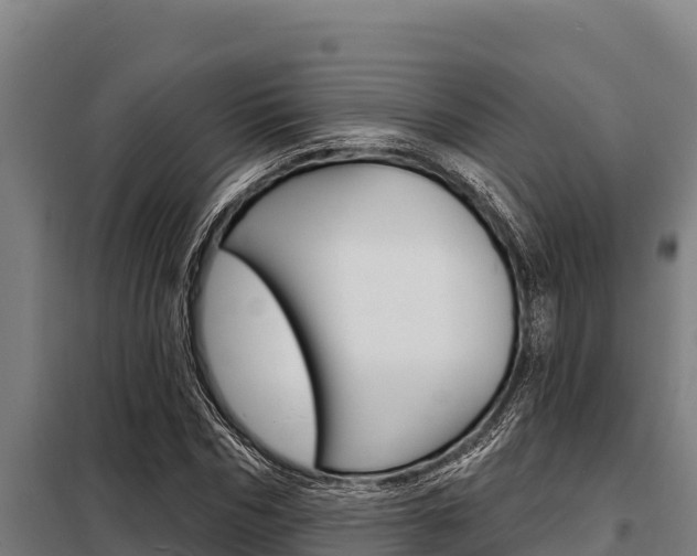 X0000098080970200804040747