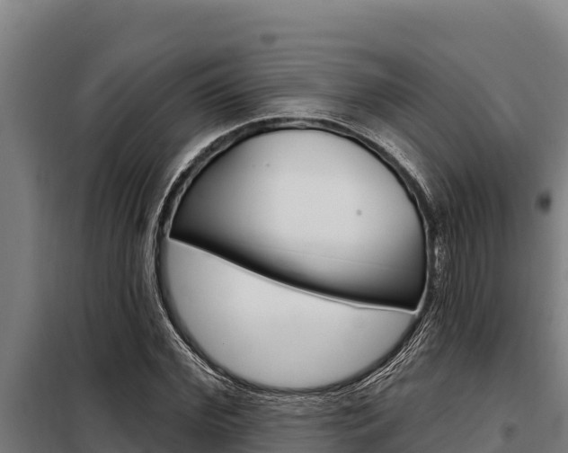 X0000098080972200804040747