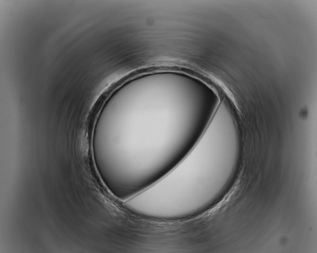 X0000098080973200804040747
