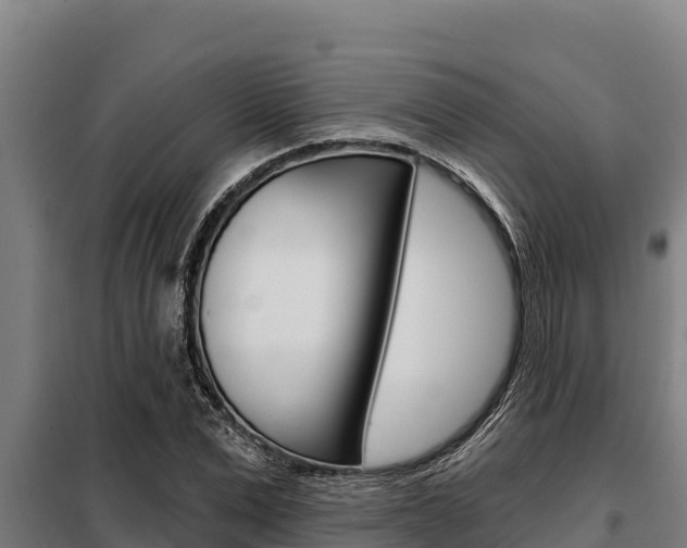 X0000098080975200804040747