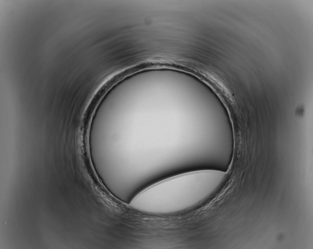 X0000098080976200804040747
