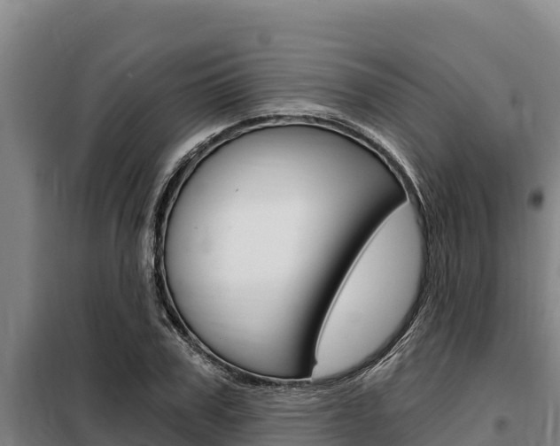 X0000098080979200804040747