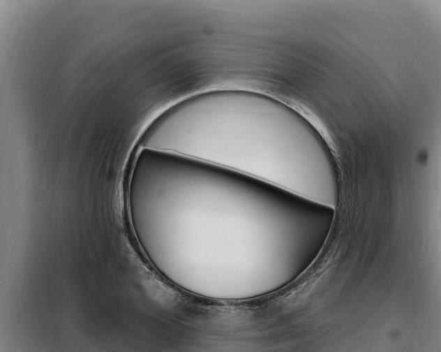 X0000098080980200804040747
