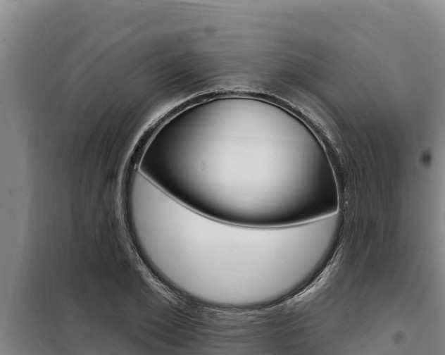 X0000098080981200804040747