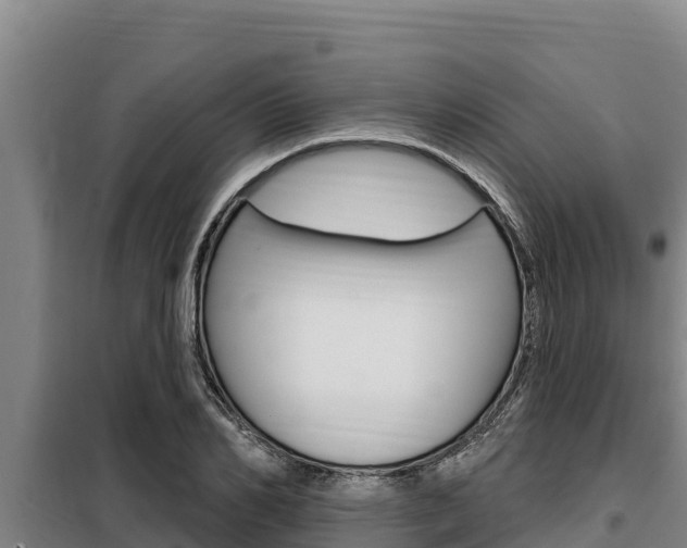 X0000098080982200804040747