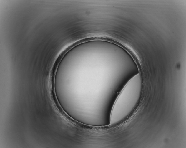 X0000098080983200804040747