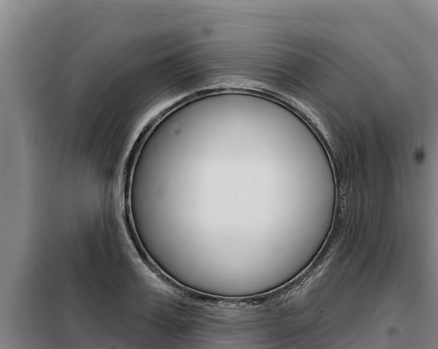 X0000098080987200804040747