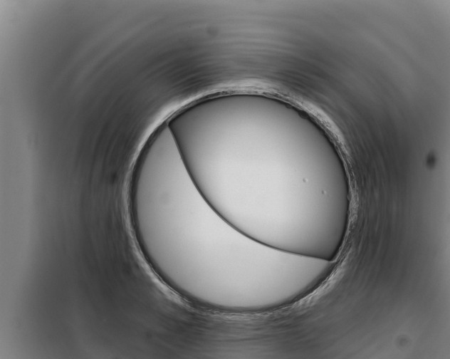 X0000098080989200804040747