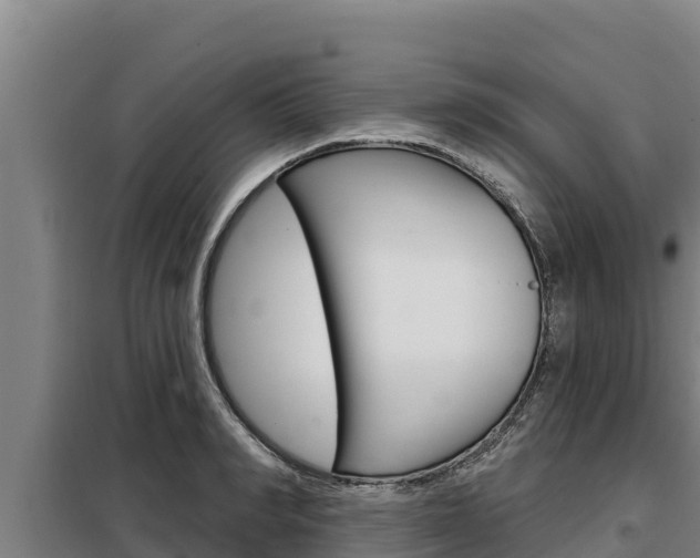 X0000098080990200804040747