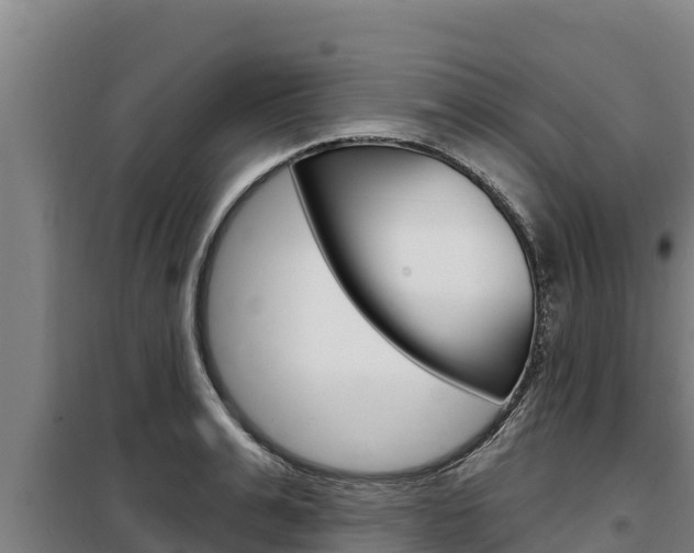 X0000098080991200804040747