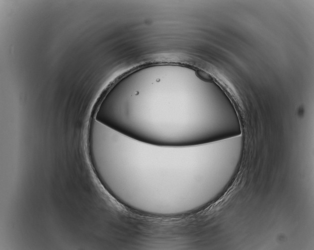 X0000098080992200804040747
