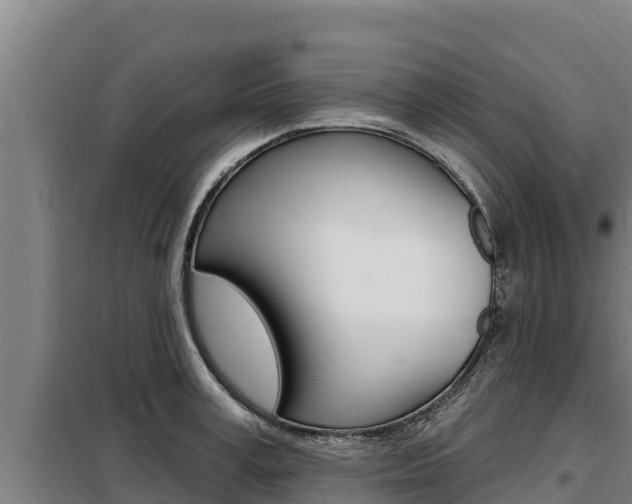 X0000098080995200804040747