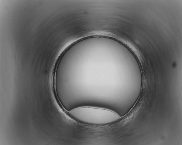X0000098080999200804040747