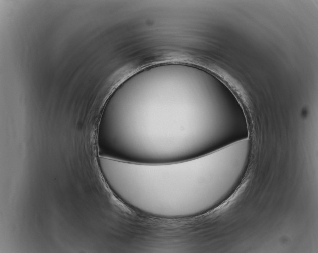 X0000098081001200804040747