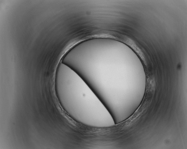 X0000098081002200804040747